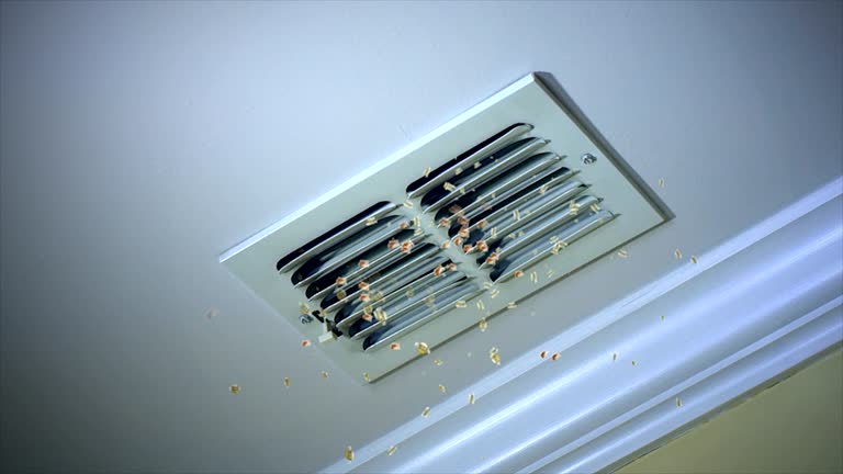 Best HVAC Duct Inspection Services  in Pilot Mountain, NC