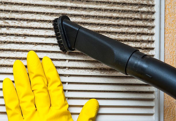 Best Air Vent Cleaning Services  in Pilot Mountain, NC